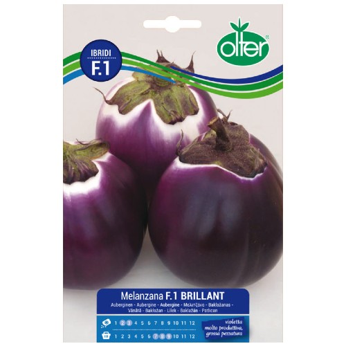 Μελιτζάνα brliant f1